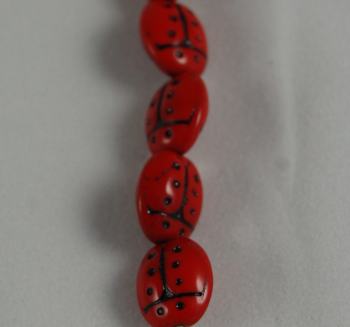 ladybug